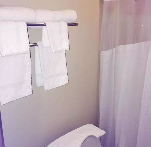 Hotelli Texan Inn And Suites Tilden