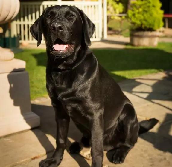 Hotelli The Inn At Fossebridge