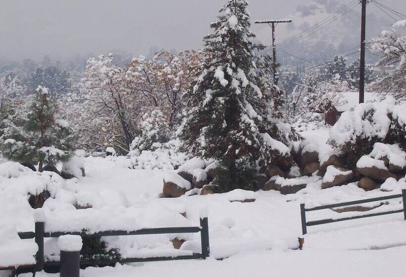 فندق على الطريق Barewood Inn And Suites