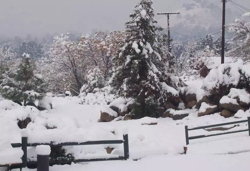 Motelli Barewood Inn And Suites