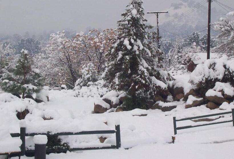 فندق على الطريق Barewood Inn And Suites