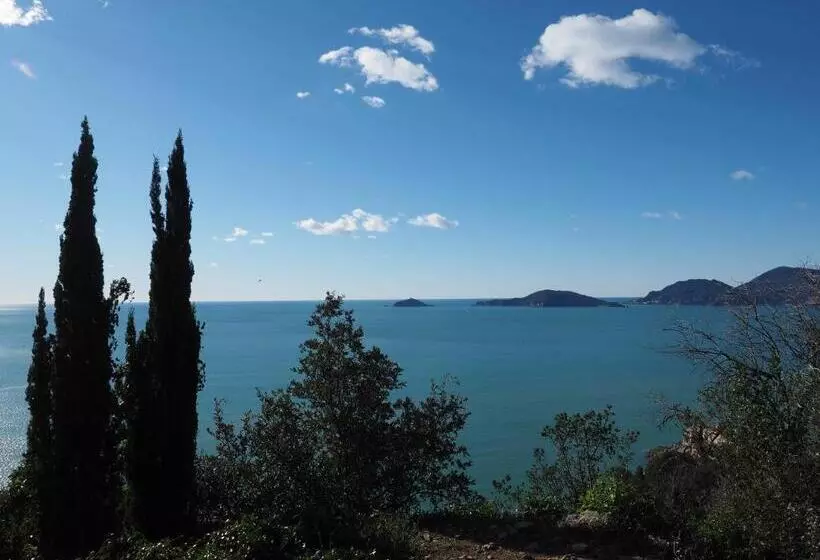 ペンション Affittacamere Il Pellegrino