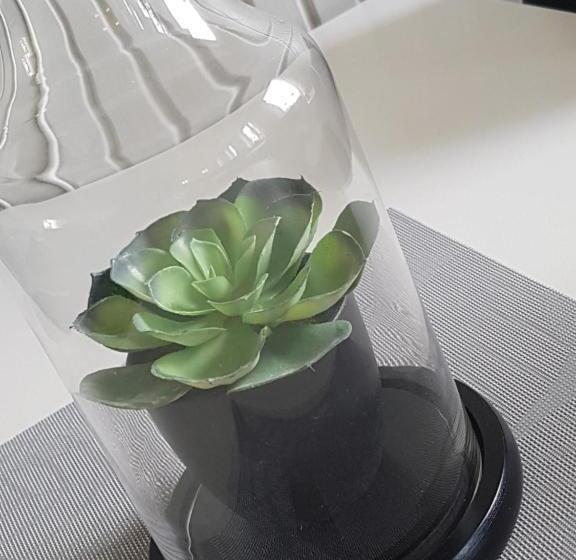 ペンション Alkoven Logi