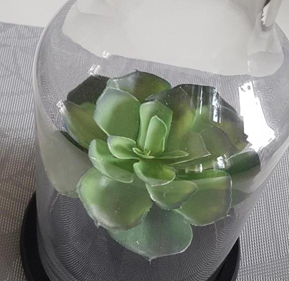 ペンション Alkoven Logi