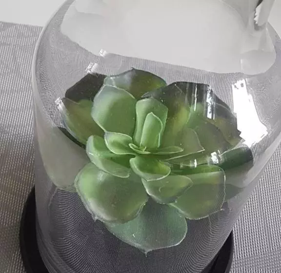 ペンション Alkoven Logi