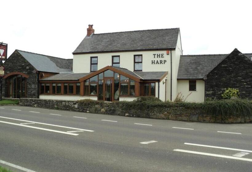 بنسيون The Harp At Letterston