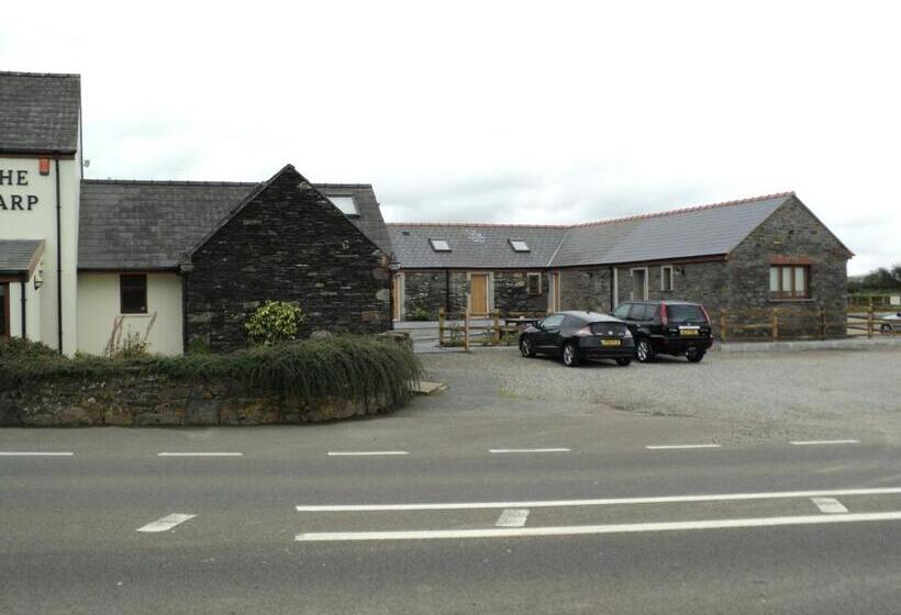 بنسيون The Harp At Letterston