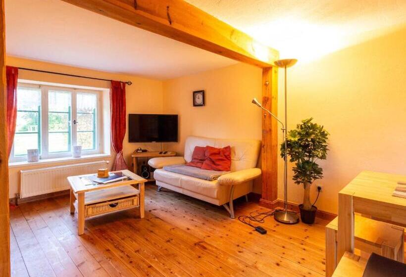 리조트 Ferienpark Vieregge Haus 1 D