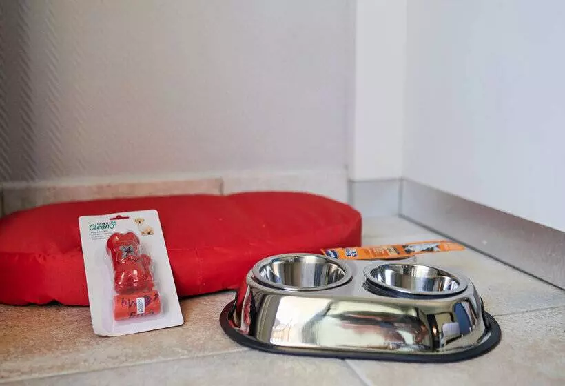 בית מלון כפרי Sarena De Muro Resort Mallorca New Opening