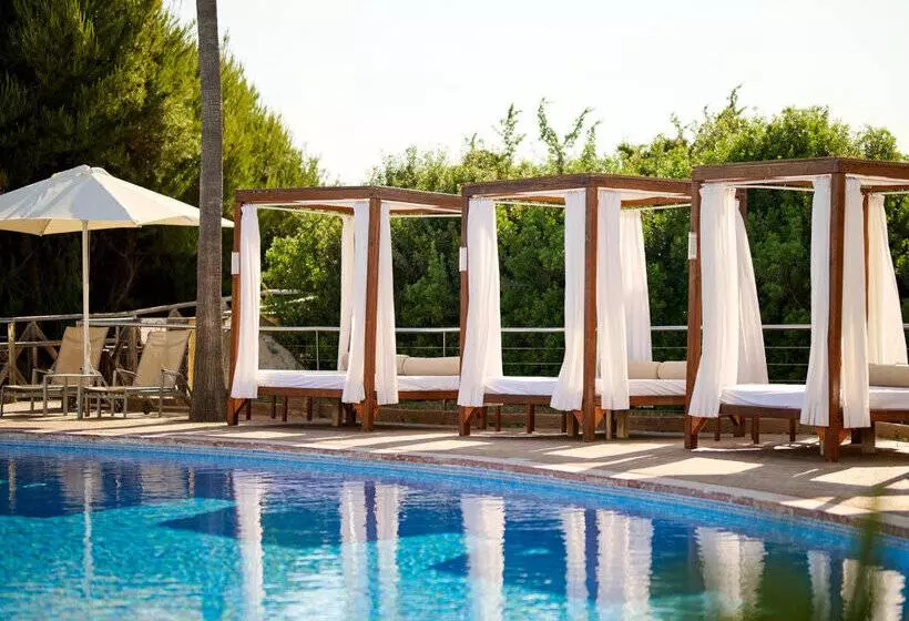 בית מלון כפרי Sarena De Muro Resort Mallorca New Opening