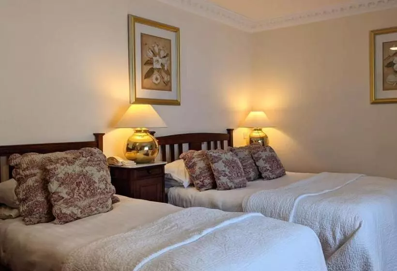 בית מלון כפרי Foley S Townhouse Killarney