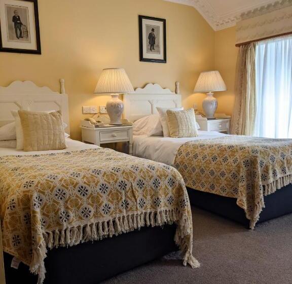 בית מלון כפרי Foley S Townhouse Killarney