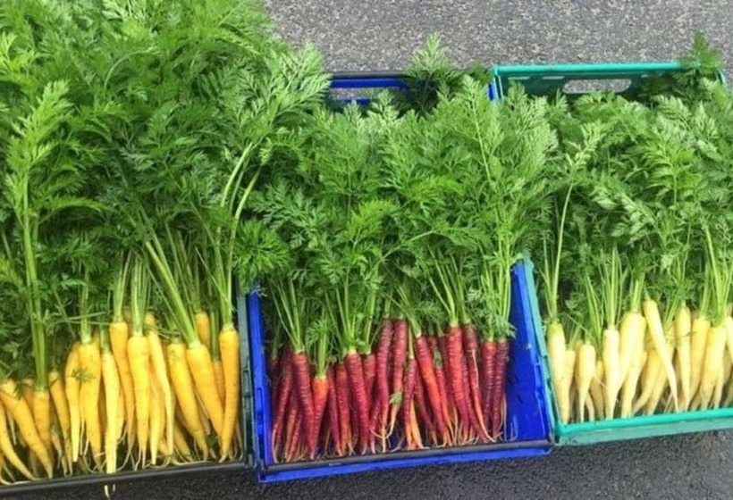 Knockranny House Hotel & Spa