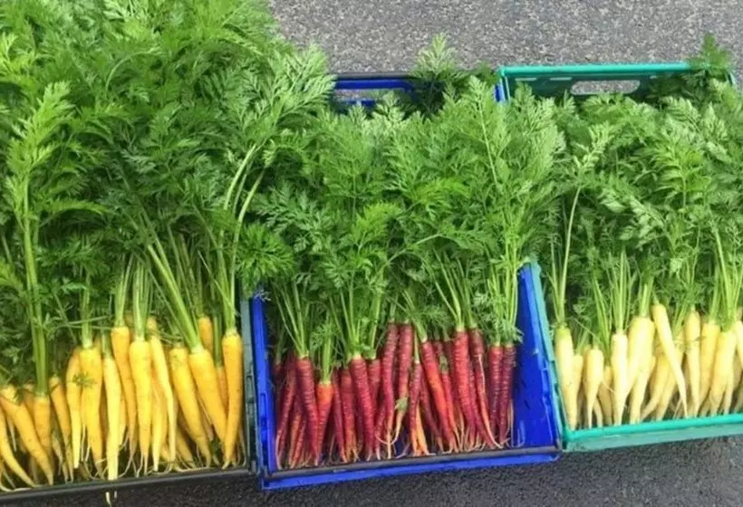 Knockranny House Hotel & Spa