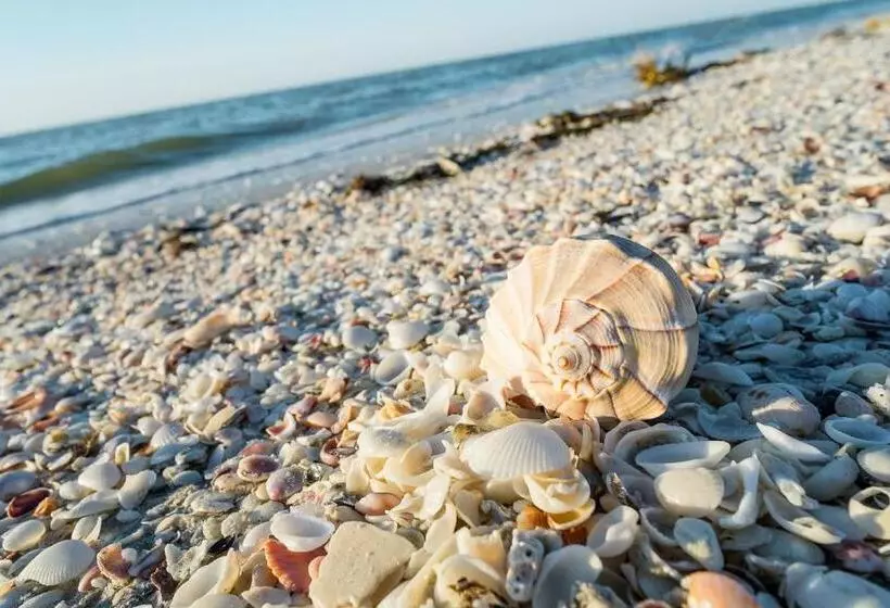 فندق Sanibel Island Beach Resort