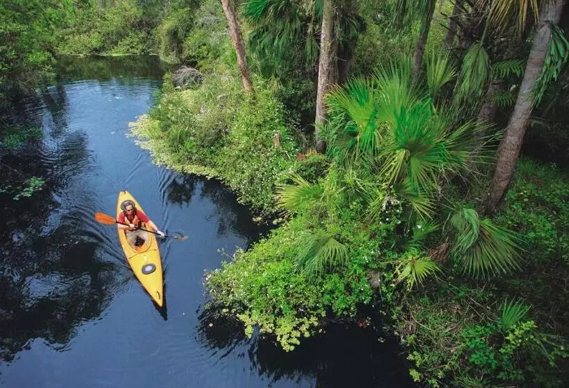 فندق Sanibel Island Beach Resort