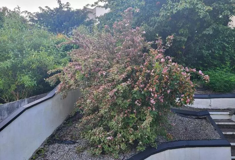 酒店 The Light House