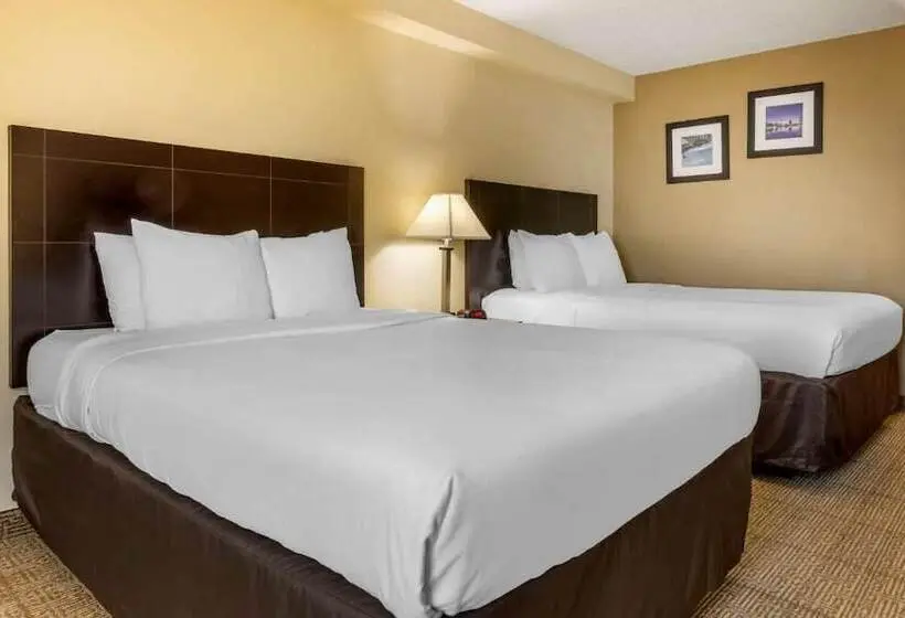 I Drive Hotel At Universal