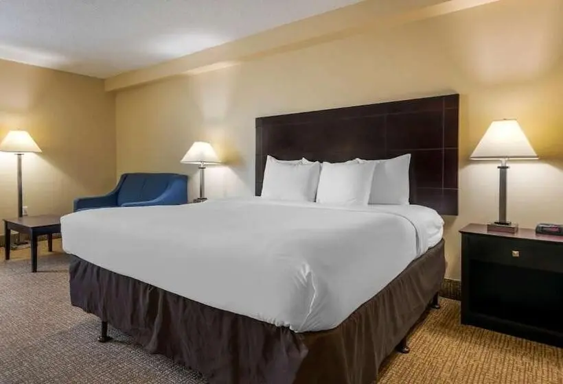 I Drive Hotel At Universal