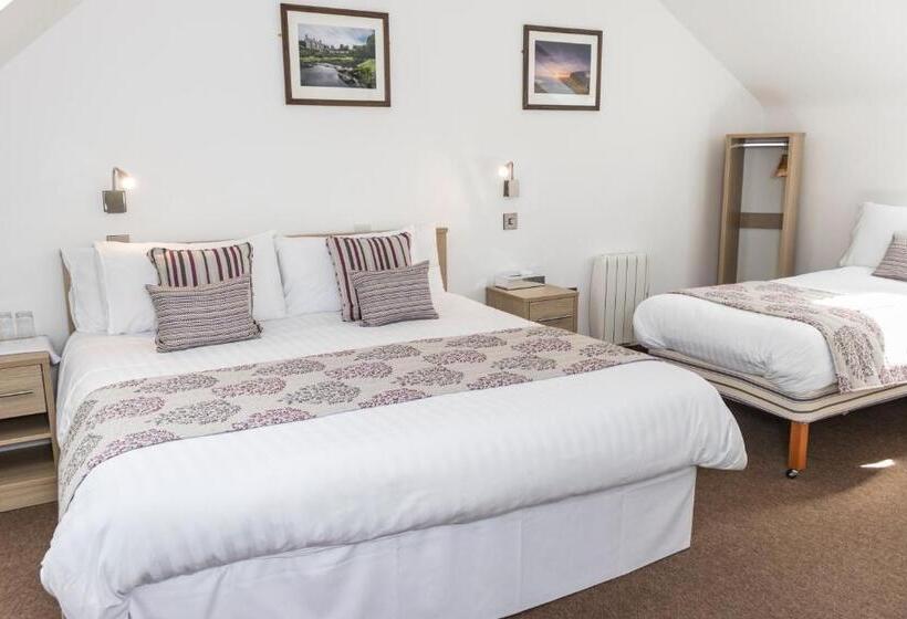 Общежитие The Rostrevor Inn