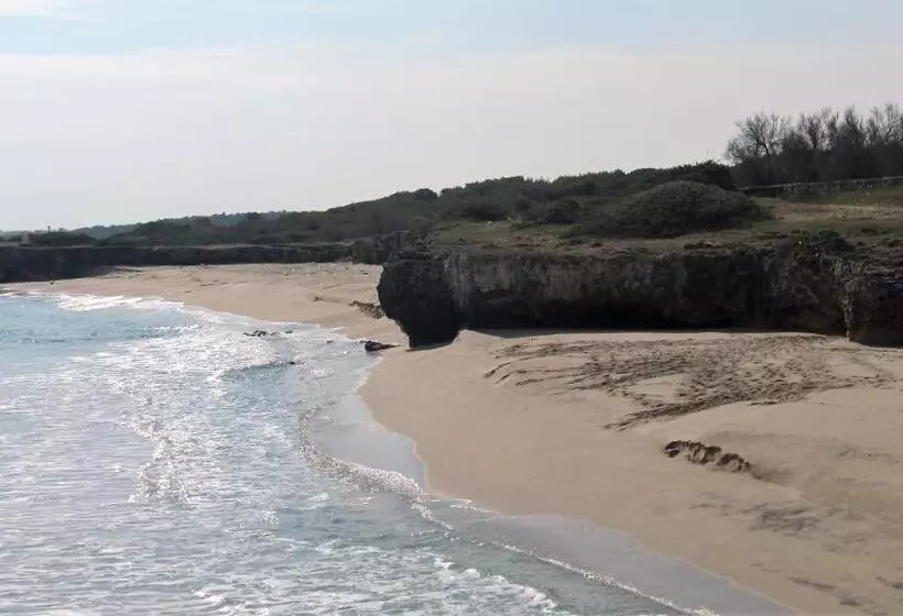 B&b Neptunia Fronte Mare