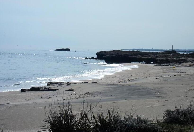 B&b Neptunia Fronte Mare