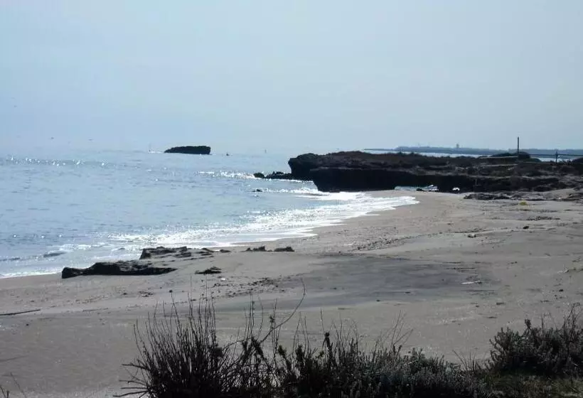 B&b Neptunia Fronte Mare