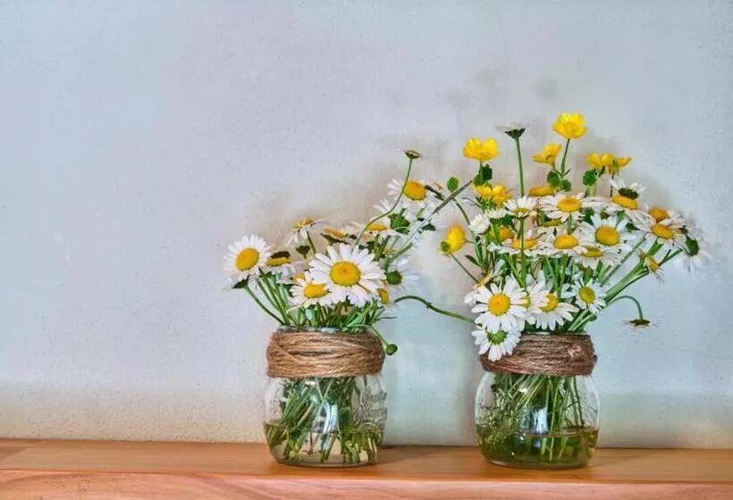 ベッドアンドブレックファースト Il Castello Di Tassara