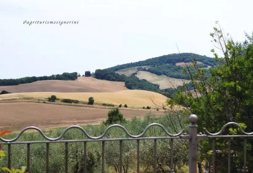 ホテル Agriturismo Signorini