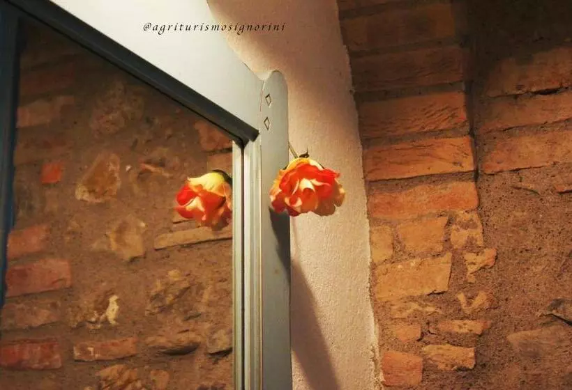 ホテル Agriturismo Signorini