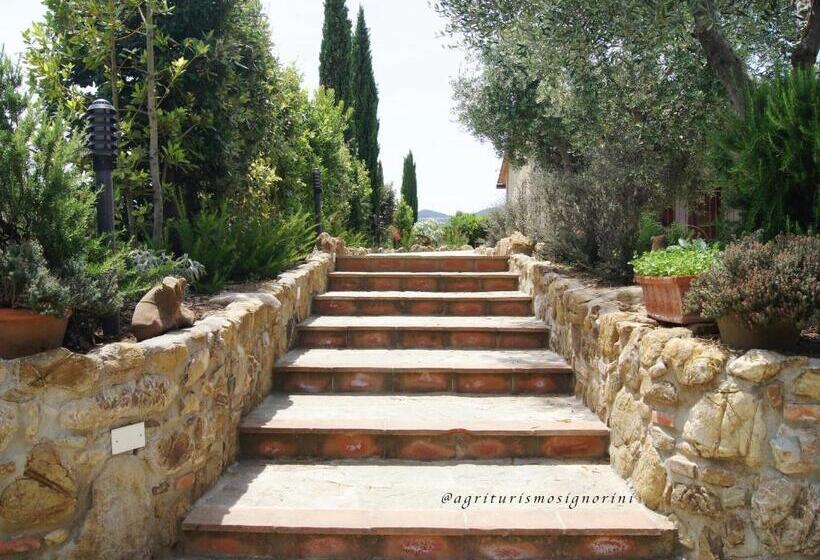 בית מלון כפרי Agriturismo Signorini