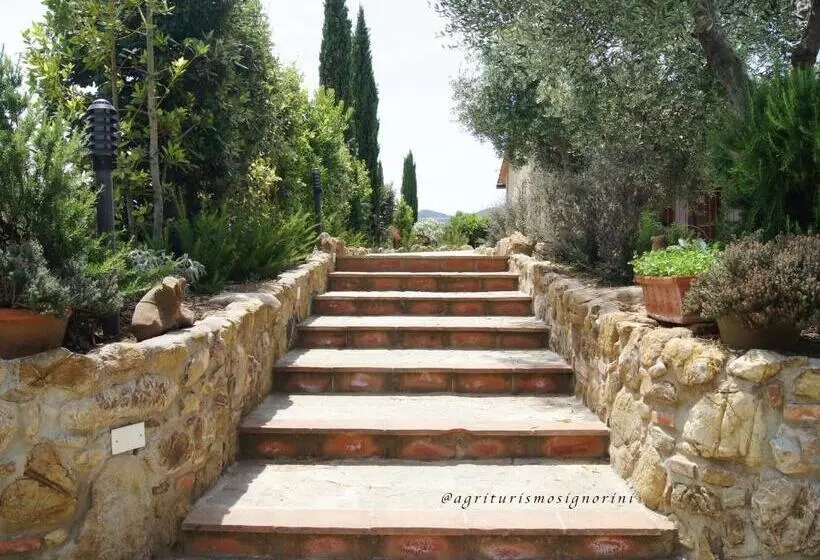 ホテル Agriturismo Signorini