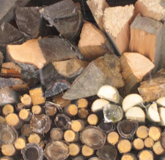 ホテル Biohof Köck Tonibauer