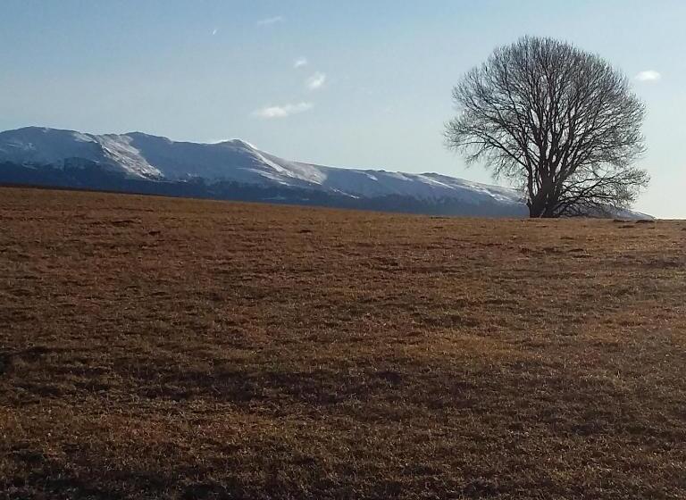 ホテル Biohof Köck Tonibauer