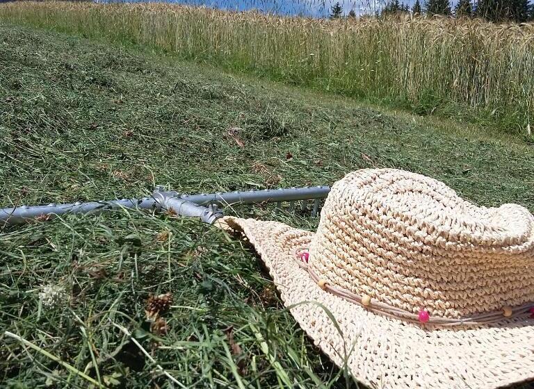 ホテル Biohof Köck Tonibauer