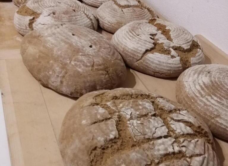 ホテル Biohof Köck Tonibauer