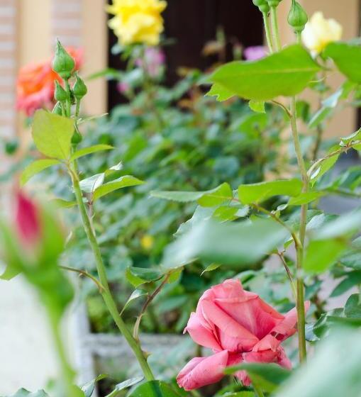 فندق Il Pozzetto