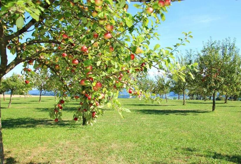 Отель Mostlandhof