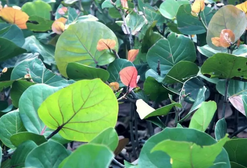 Hotelli Tayrona Tented Lodge