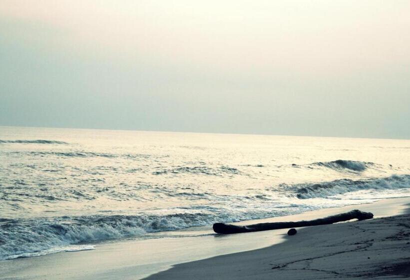 Hotel Tayrona Tented Lodge