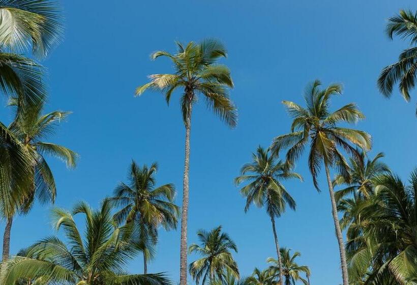 Hotel Tayrona Tented Lodge