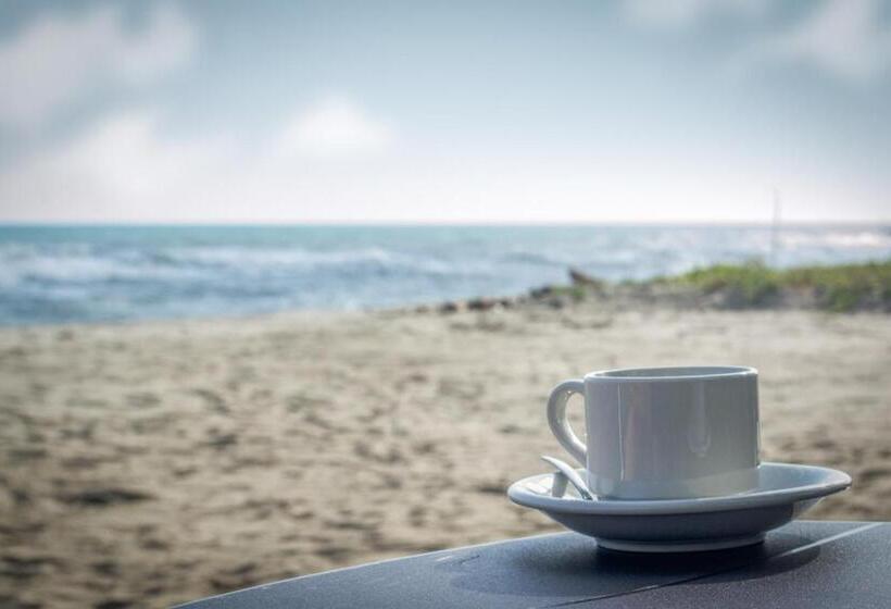 Hotel Tayrona Tented Lodge