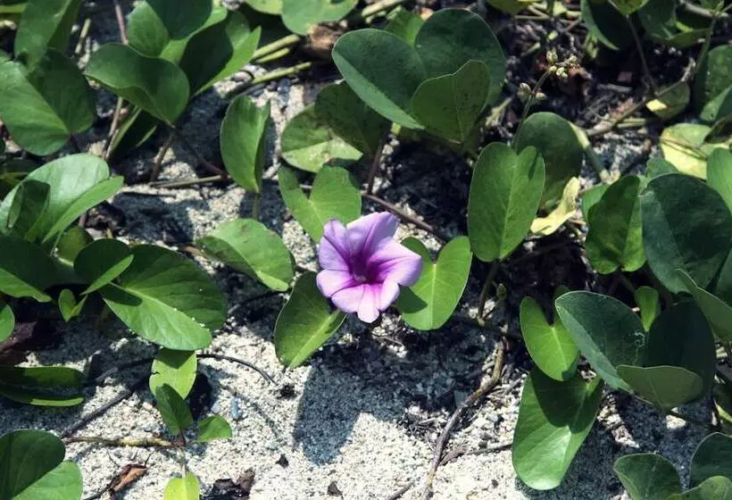 Hotelli Tayrona Tented Lodge