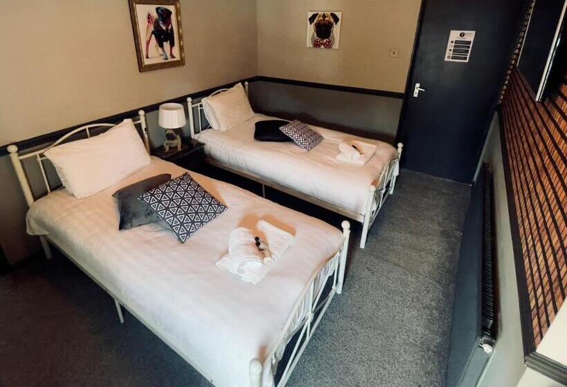 בית מלון כפרי The Italian Greyhound