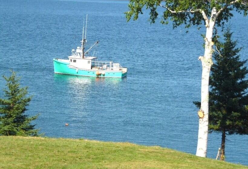 מוטל Redclyffe Shore Motor Inn