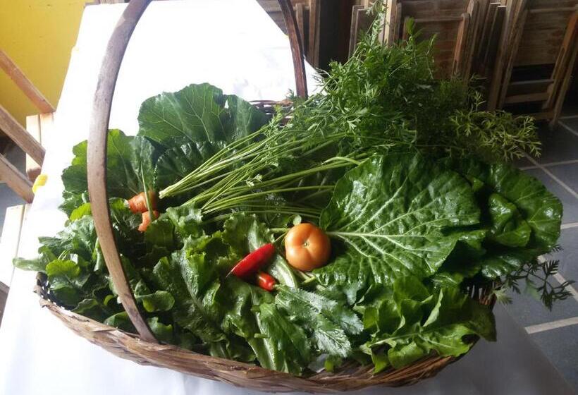 Пансион Ponta Da Barca