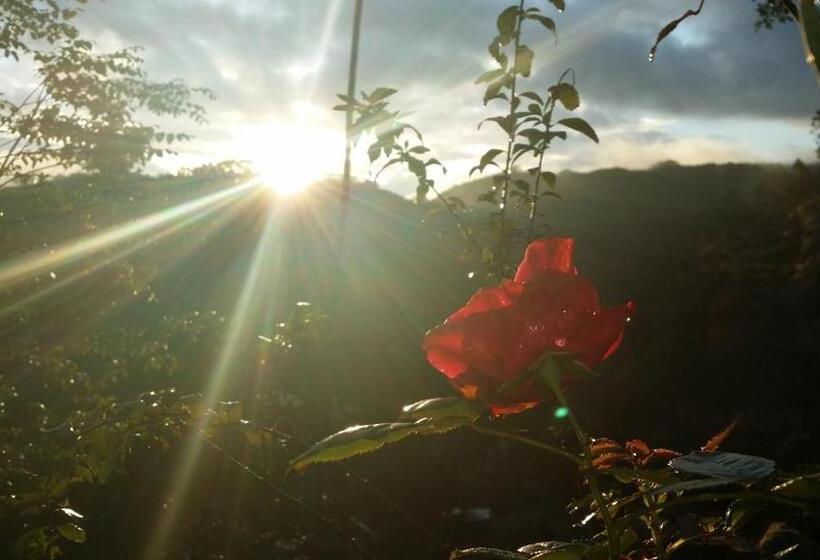 Pension (Hôtel basse catégorie) Pousada Casa Donadello