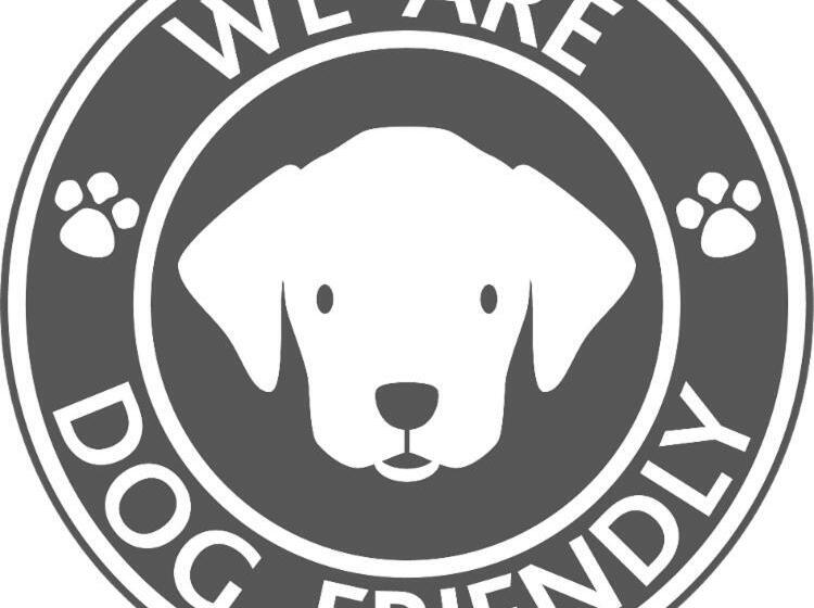 بنسيون The Ramblers