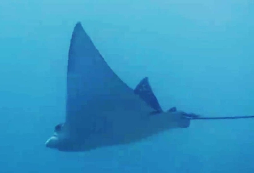 East Lombok Dive Hotel Hostel