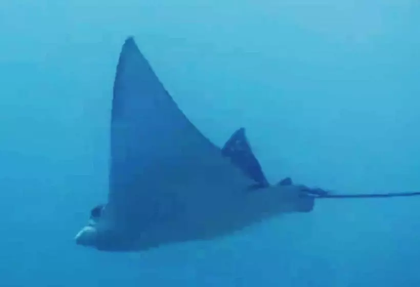 East Lombok Dive Hotel   Hostel